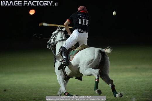 2013-09-14 Audi Polo Gold Cup 1394